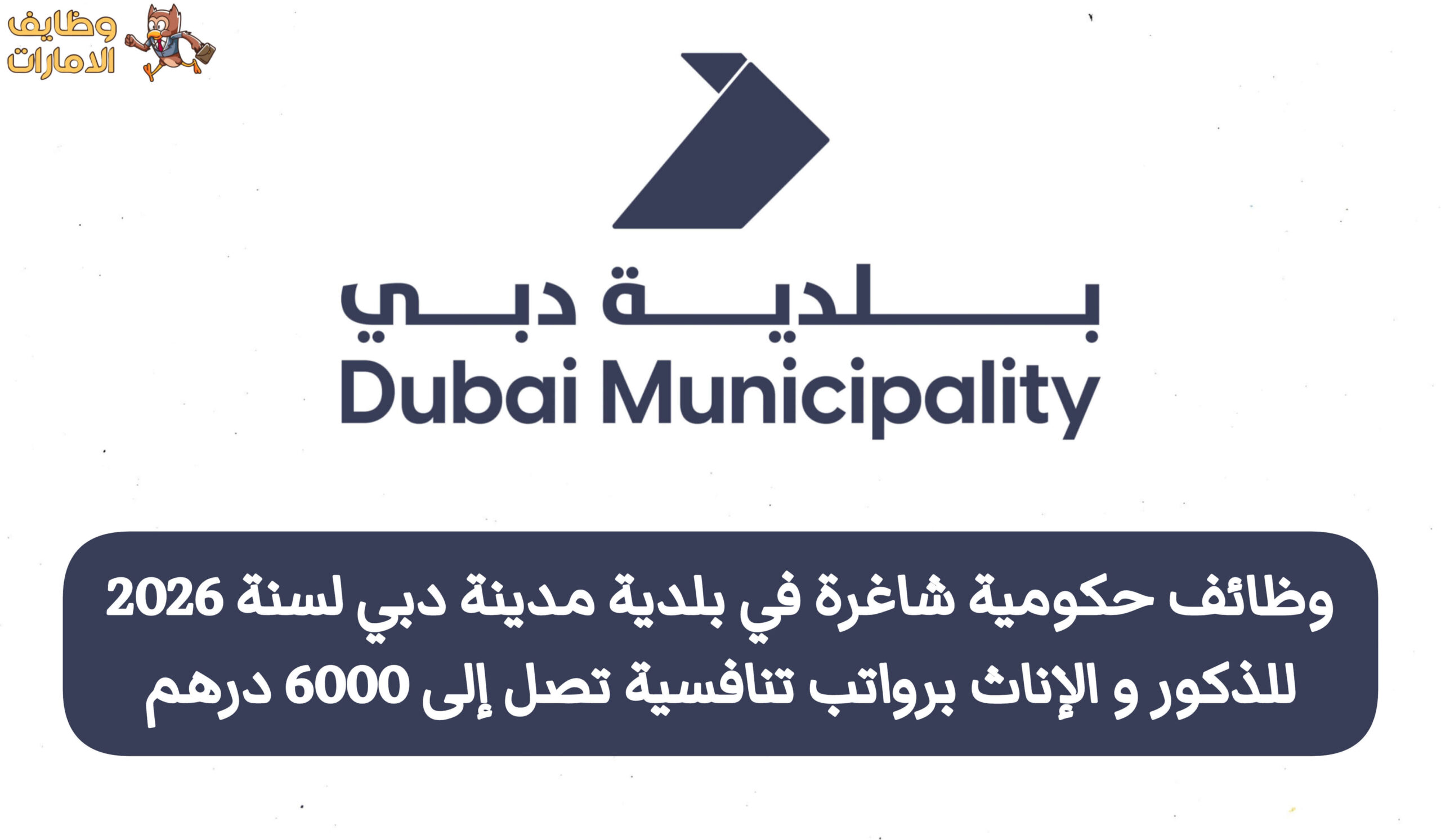 أعلنت بلدية دبي عن وظائف وفرص عمل حكومية شاغرة في مختلف التخصصات والمهن، حيث تستهدف المواطنين والوافدين من حملة البكالوريوس والثانوية العامة، مما يجعلها فرصة مميزة لشريحة واسعة من الباحثين عن عمل.